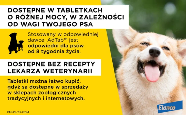 0e51a3b428d1a2891c10549532fe239c