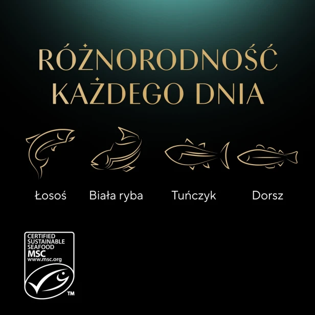 594dbaca8065510afcdd58edb899160c