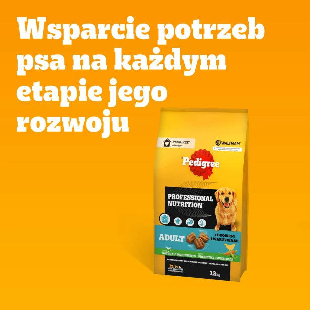 49ac3f9f015549fbdd1e9324926e704b