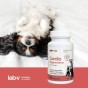 4fc9483a52f55138dc4944d13c99753a