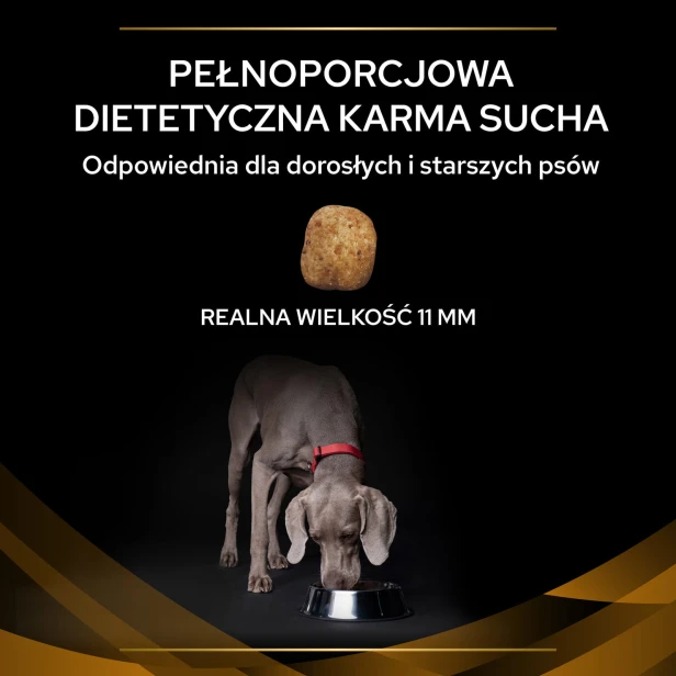 0992360c56cd1afac25cc7ee6c0883ff