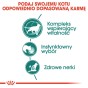 7972516a57a8dec4e427d5db7c22a26d