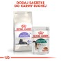 0539c9804c829a72a0e96b518d892f19