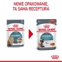 502f95983e5c90e2505889c43dabce89