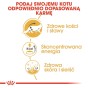 f0514a2036f960d5caf3fc5c44b00c85