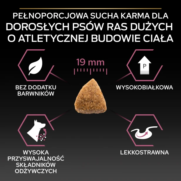 5f02d8cdc66ff3de6574465843835771