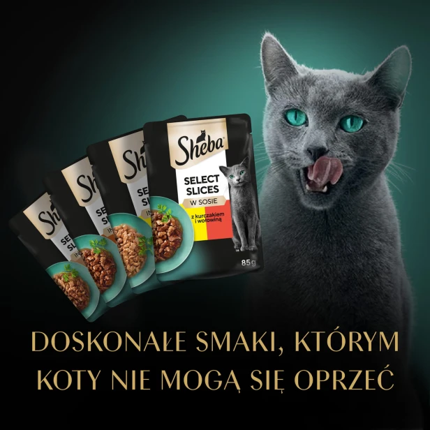 0630d036285f4960056d97977e1df21b