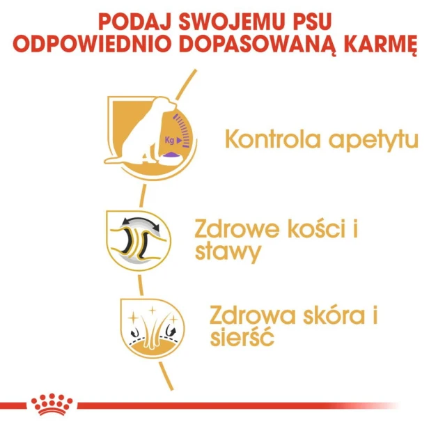 e9e84a9b9d6bec18f84211eb5e0a6f1c