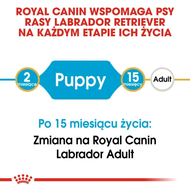 4c31e4c8cc27942f44eeed827493cc1c
