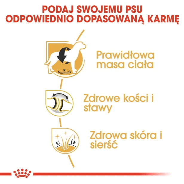 cfc5687503129ac73f08396f186c60f3