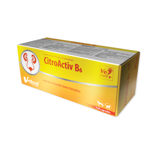 5fe1558dcae02655c7dd2297d31212ab
