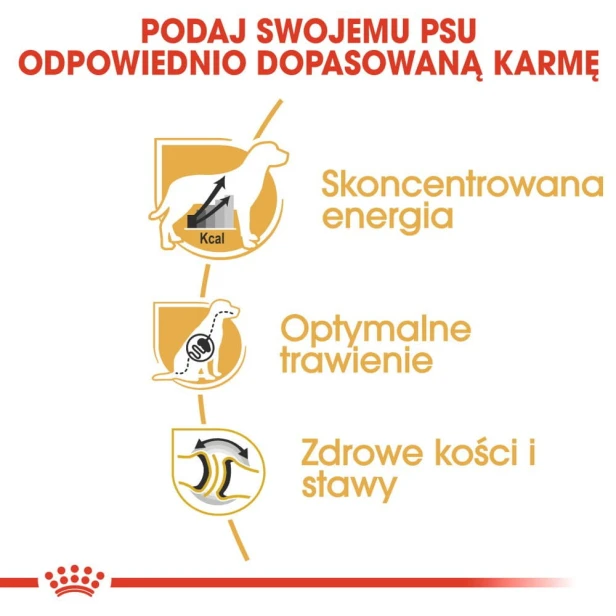 616593ddfdda886a744fe026425c37b2
