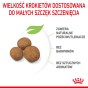239595f9e4a57ce4fa77ee9cdf7b5dac