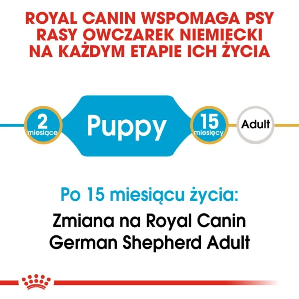 4115c9a91f335edfb138456e881ba05b
