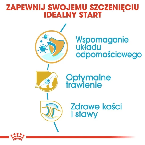 4e8f8f77602fc1d1a574ddd2657140f9