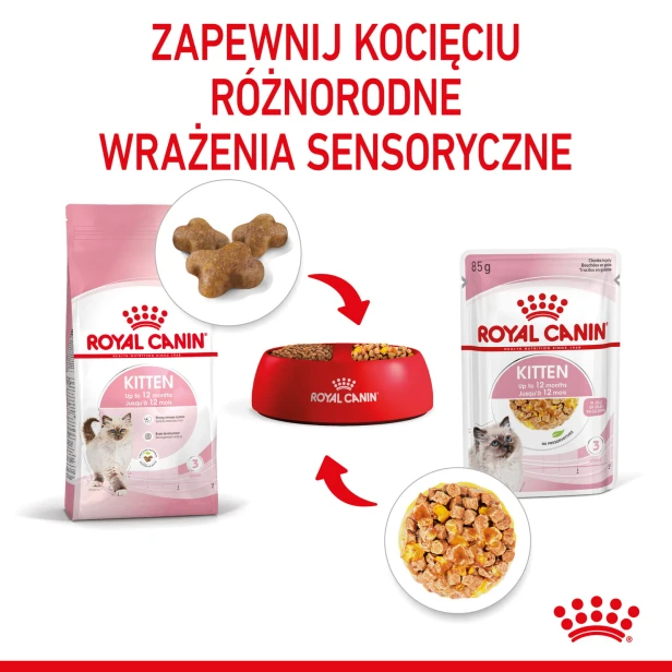 1f0afea965d021552af3bbe20a848e0c