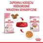 1f0afea965d021552af3bbe20a848e0c