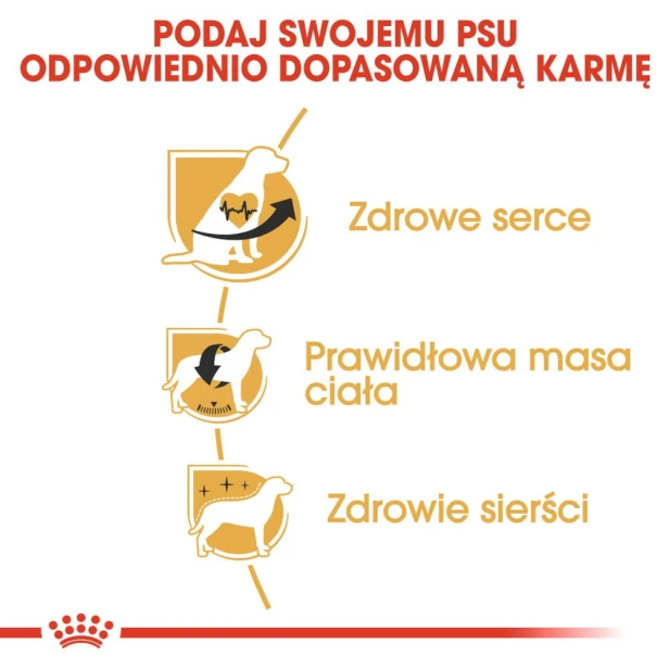 547790775707b62a282e8f2d2d7b2cfa