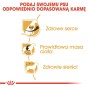 547790775707b62a282e8f2d2d7b2cfa