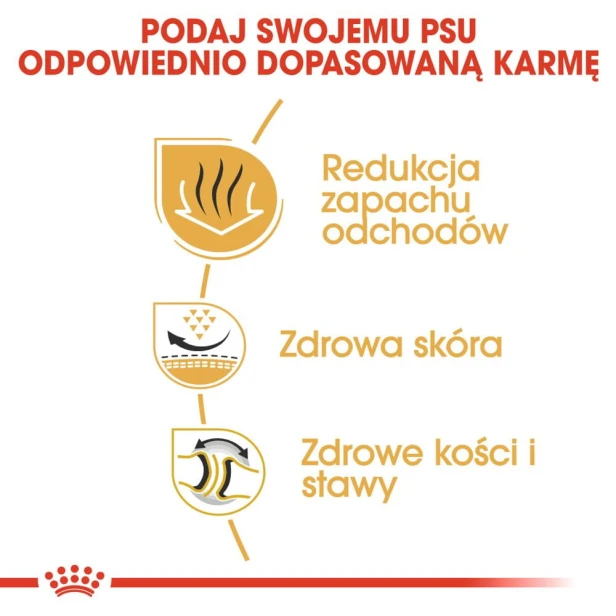 8c8a8cffcaf68c7bf41330e148c2aeae