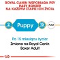 d9c2b036086c34fb133f2e8418e3e0fd