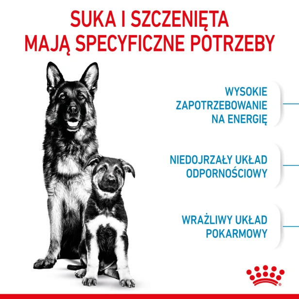 04524a0d51353a6fe8de1bd527f78f84