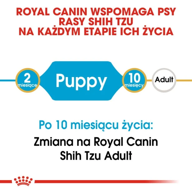15c7c96835dc56168a537d82302e9370