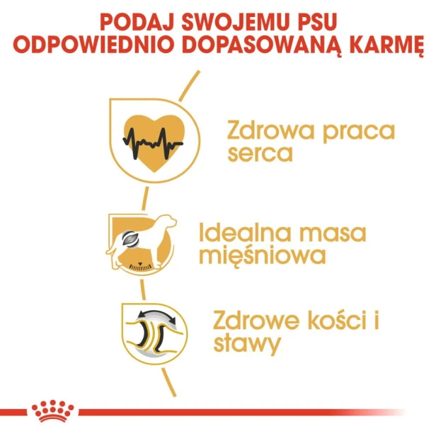 2a6cb86df0effa83b8c1c724aecc07cf