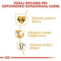 2a6cb86df0effa83b8c1c724aecc07cf