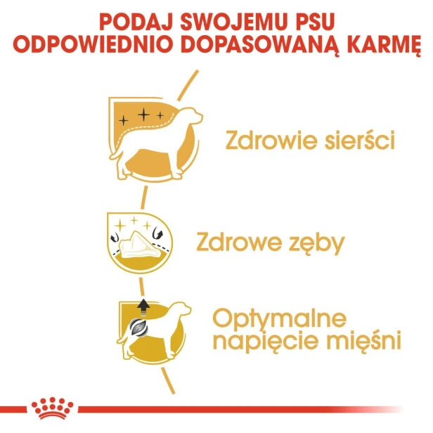 4fa33ef0d5eb32f3333ae98928fbcc90