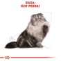 ffe38dd43af55ab9cef0aadc771faec9