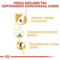 11a7d4e413aace5c2e12f82249cbc263