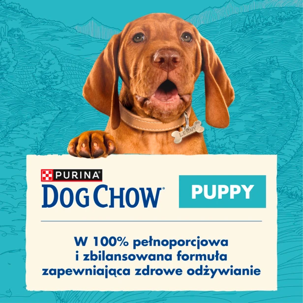 e567ddc8430c3dd81ba3e9eb90085326
