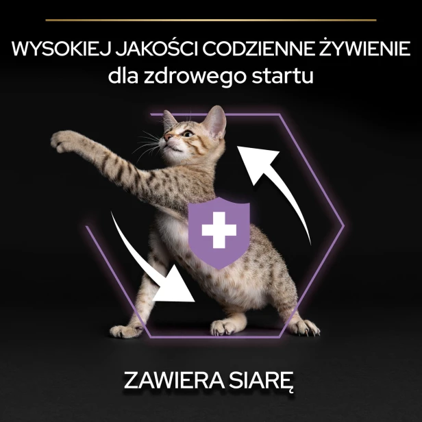 b270872c9b4f69d3f9da90195df70f41