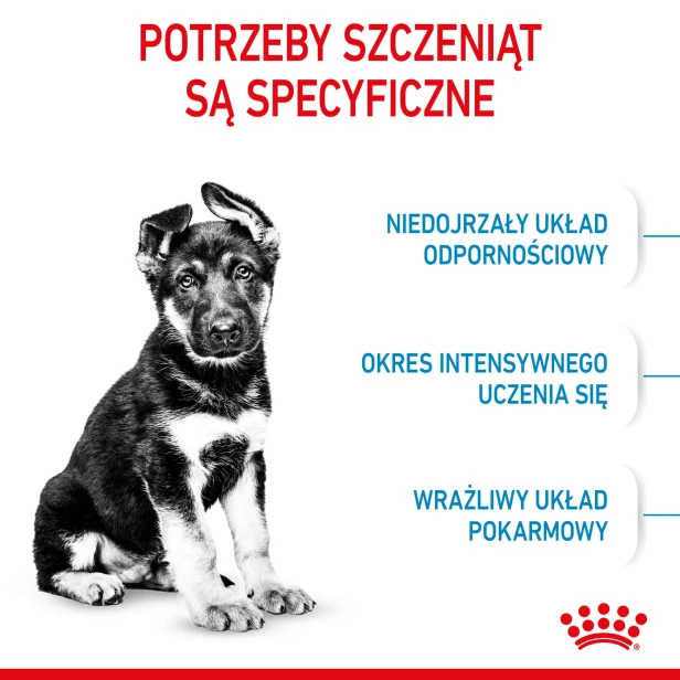 ac175e62d66be1ea5d5c42f3d6280dc8