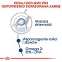 c444af6e37e7d593e6483e86ba2a9947