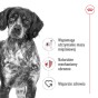aedb54cebf03d2c1fa064de0b0e8f86d