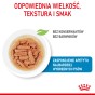 93cc9a0a16f7937288fe0ac4b84087ee