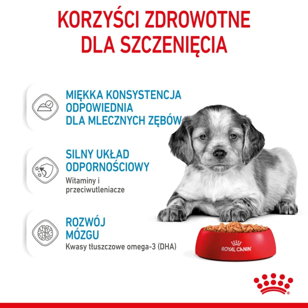 992d5d04db35896e1e6de6efab343762