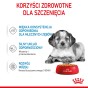 992d5d04db35896e1e6de6efab343762