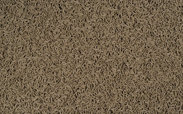 4c515ab14d8eb2f03048ae83f8102d19