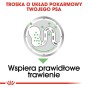 6e9f64cbfc8a4a198133ab21db88449c