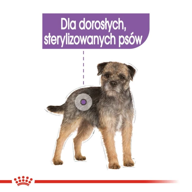 b46c282256ab3a5dd0de9e6e71392d31