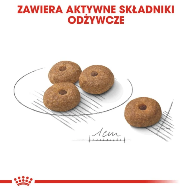 1cd43bd1d50f45667a0250027056d183