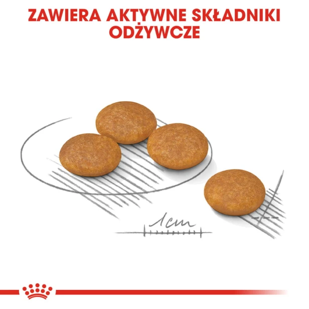 c69bdb4f5c2eef9cdf0d20446f08d0ae