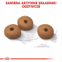 ab26a68572ddbb6b1446ea94990559d1
