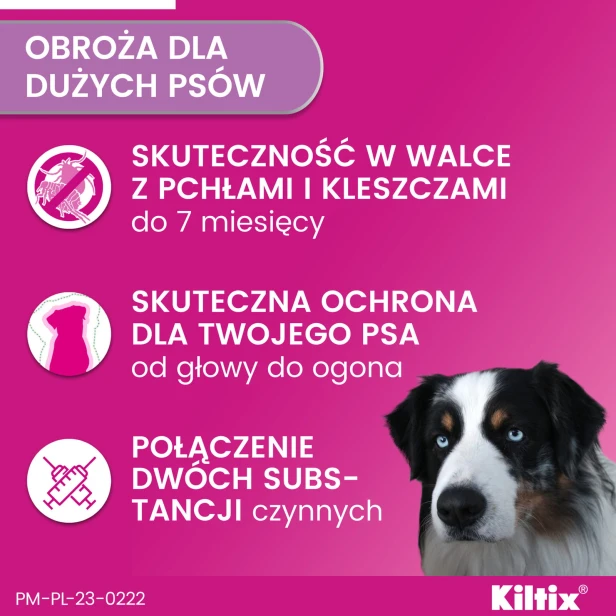42387c34f81a3b9a6e6bb2db9ac26120