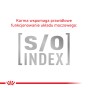 0752c36a6cd4294774bda22bb861aa57