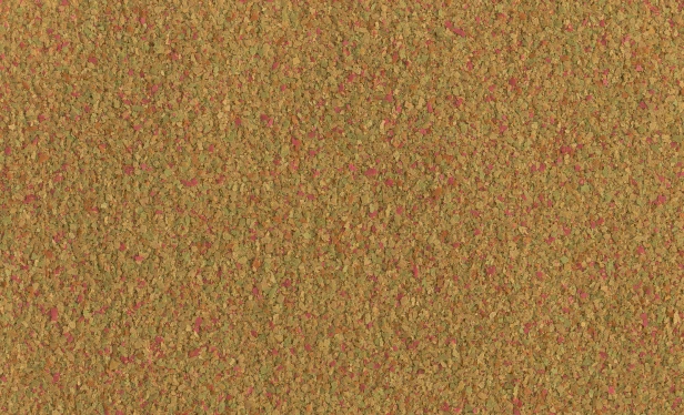 596a2103f260959698c10507f290d0b1