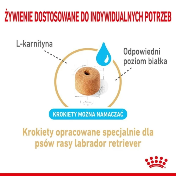 17367621d329ac52bbf6655677c6fa88